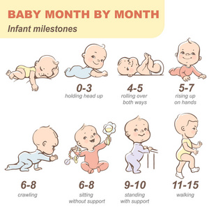 用文本对婴儿从新生儿到幼儿的成长进行线性信息绘制.第一年.