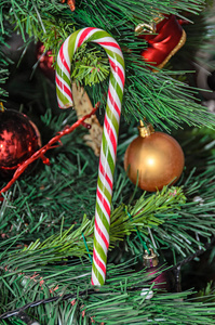 圣诞树挂饰，彩色棒棒糖，特写..