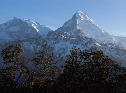 喜马拉雅山美丽的全景图正在追踪到安纳普尔纳大本营