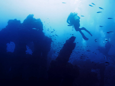 有些人平静地潜水在沉船的旧残骸上。数以百计的鱼围绕着那神秘的残骸，它躺在浑浊的蓝色海洋的底部