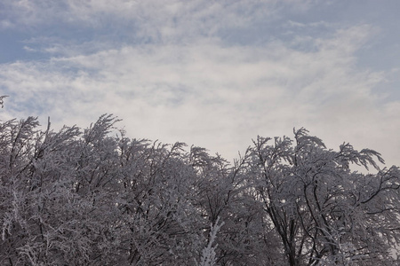 克里米亚美丽的雪域高地风景