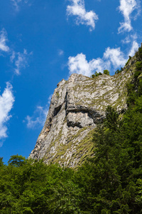 蒙特纳格林山脉夏季全景