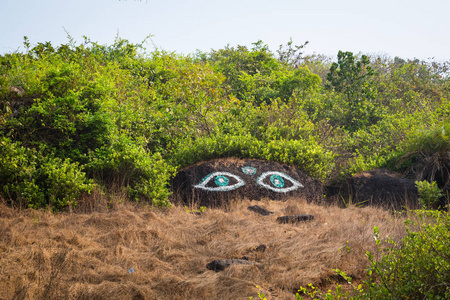 s eyes in northern GOA