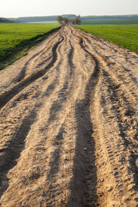 道路