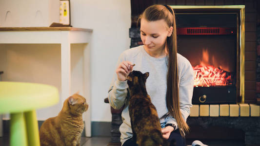 靠近壁炉休息的可爱的猫的女人。很多猫。单身女子年轻女孩猫女士