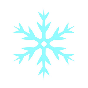 雪花矢量图标。圣诞节的象征。冬天雪花被隔绝了