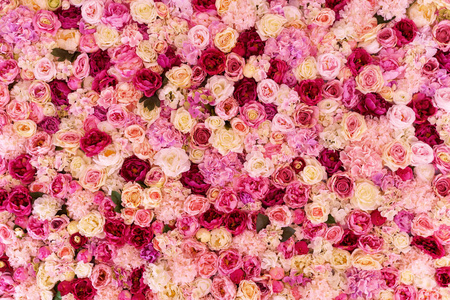 许多各种各样的粉红色, 红色和白色的花抽象的图案背景