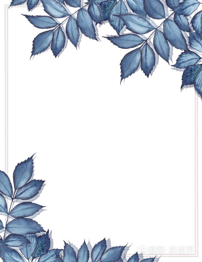 水彩画框有深蓝色的叶子白色背景上的手绘插图