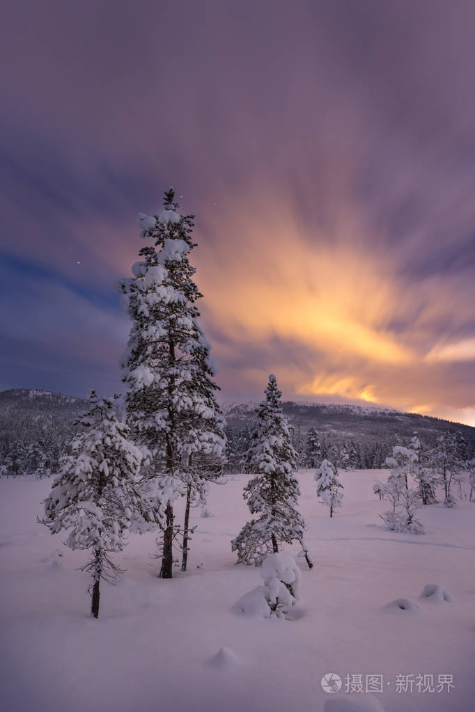 在雪堆的森林里的夜晚挪威冬季