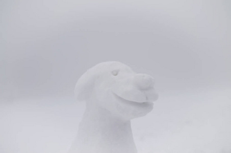 冬天雾蒙蒙的天气，雪中的狗