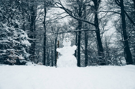 冬天被雪和雪人覆盖的森林