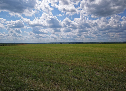 在夏天多云的日子里, 一片割草的田野