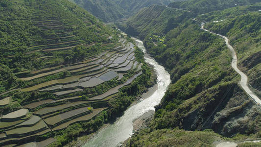 在山的水稻梯田