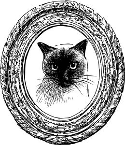暹罗猫的素描画像照片