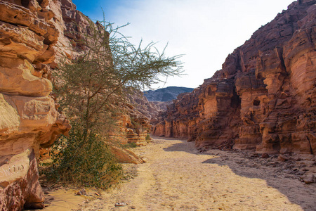 埃及的彩色峡谷