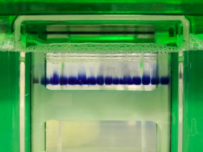 关闭实验室设备进行聚丙烯酰胺凝胶电泳。 蛋白质和核酸分离技术。