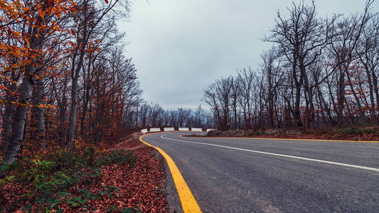 公路在秋天山森林
