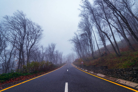 公路在秋天山森林