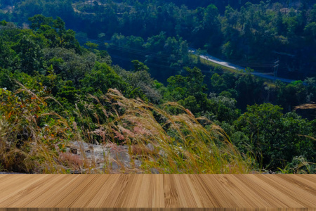 林山山自然夏日风景用木桌展示产品