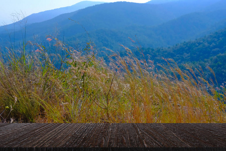 林山山自然夏日风景用木桌展示产品