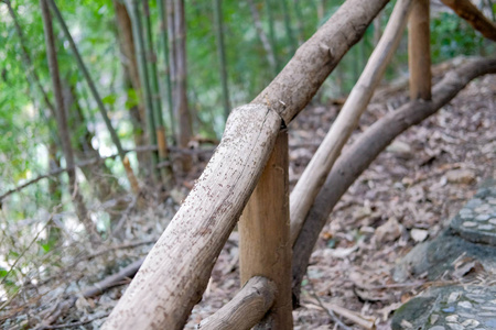 一群黑蚂蚁在森林里的木制栏杆上互相追逐