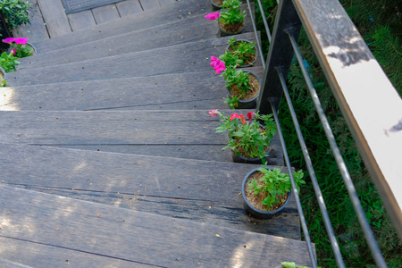 房子内部楼梯上的花图片