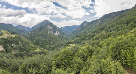 黑山的塔拉河峡谷