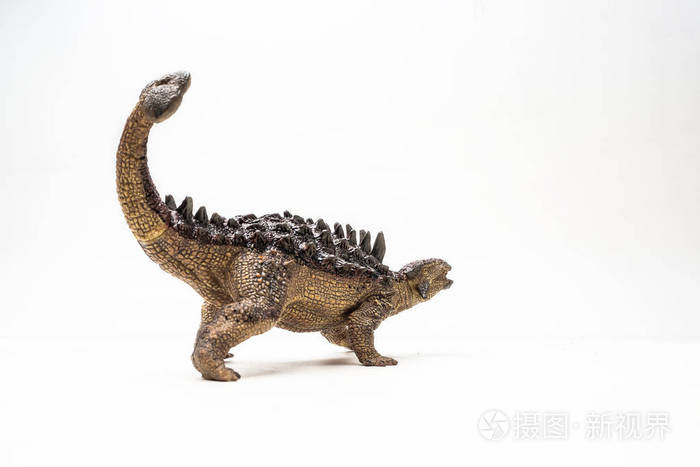 在白色背景的ankylosaurus恐龙