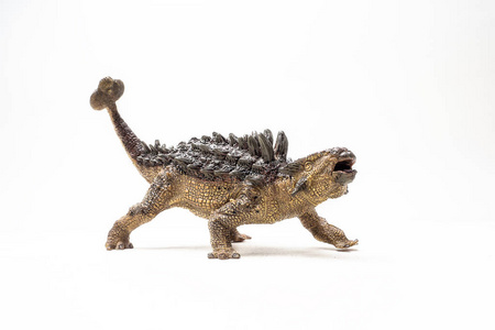 在白色背景的 ankylosaurus 恐龙