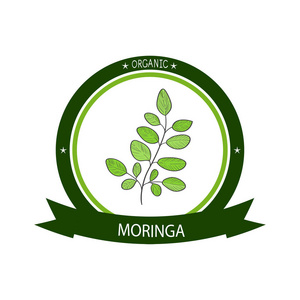 莫林加植物.徽标,徽标,符号,符号,贴纸照片