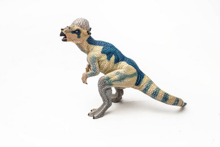 肿头龙白色背景的长头龙恐龙照片