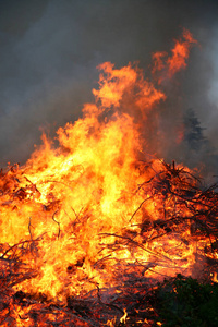 控制树木和树枝的火灾