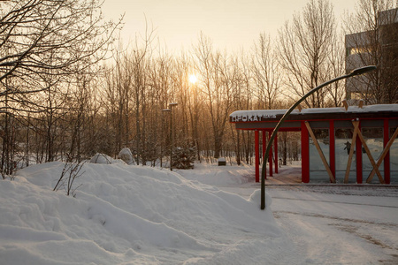 美丽的冬天森林风景, 树被盖的雪