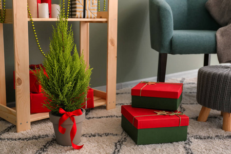 室内地板上的柏树和圣诞礼物