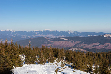 冬天的喀尔巴阡山。