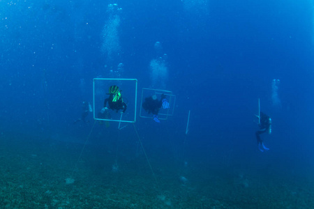 埃及红海礁潜水者水下观