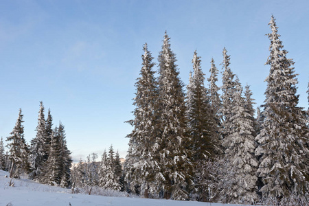 白雪覆盖的乌克兰喀尔巴阡山美丽的冬季景观