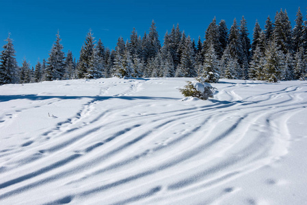 雪粉雪中的自由滑雪道