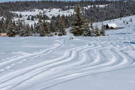 雪粉雪中的自由滑雪道