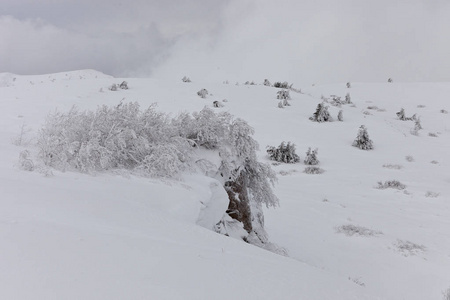 克里米亚美丽的雪域高地风景