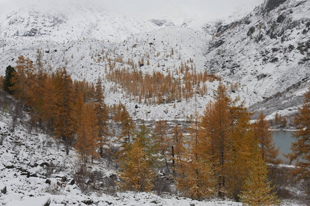 多云的早晨。 雪覆盖冬山湖俄罗斯西伯利亚阿尔泰山丘崖岭。