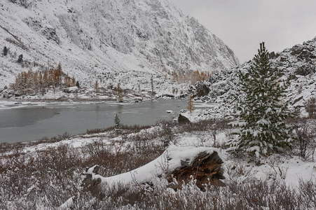 多云的早晨。 雪覆盖冬山湖俄罗斯西伯利亚阿尔泰山丘崖岭。