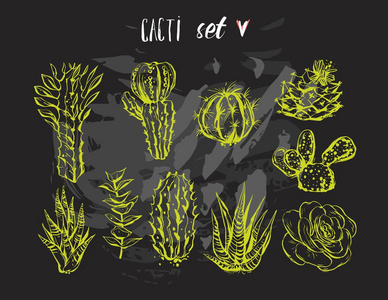手绘矢量图形创意多汁植物，仙人掌和植物集合集孤立在黑色背景上。唯一不寻常的时髦时尚的设计。手工制作的图形化显示。复古婚礼