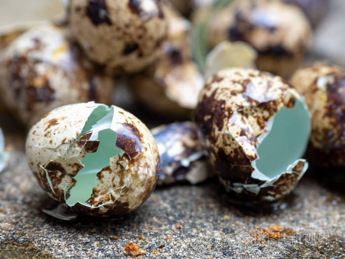 把鹌鹑蛋壳贴在水泥地板上