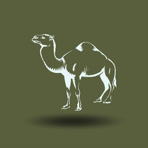 骆驼图标轮廓矢量插图