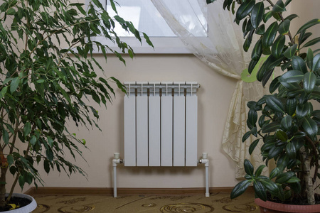 一个白色散热器安装在被室内植物包围的窗户下面。 温暖舒适的家。 舒适的小气候。