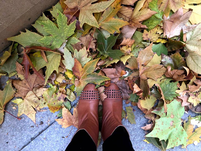 s legs. Beautiful combination of colors of boots and leaves.