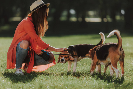 快乐的女孩和两只狗坐在公园里