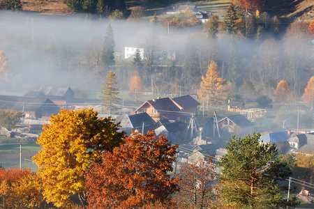 雾冲破金色的秋树和旅游小屋美丽的秋天乡村概念