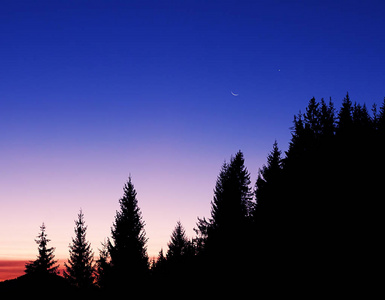 一颗星和新月美丽的森林夜间魔法概念
